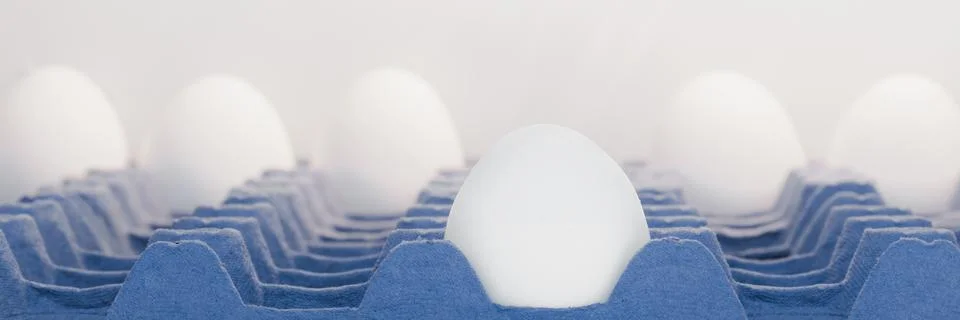 Egg alone on the front row as all others are in the back Stock Photos