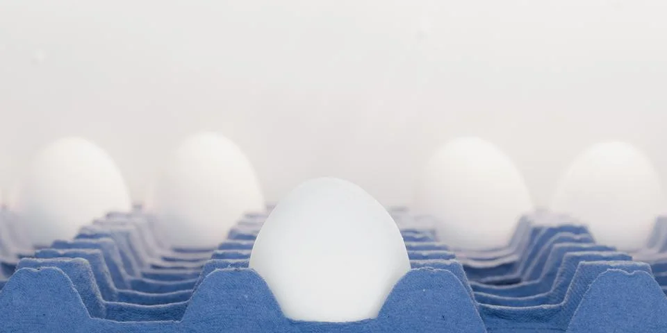 Egg alone on the front row as all others are in the back Stock Photos