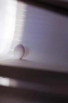 Egg and blinds Stock Photos