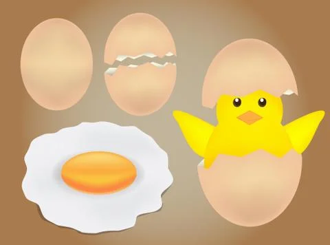 Egg and chick vector Stock Illustration