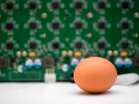 Egg And Computer Board Foto stock