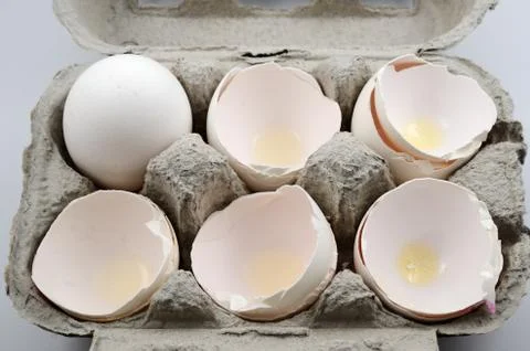 Egg and egg shells in container Foto stock