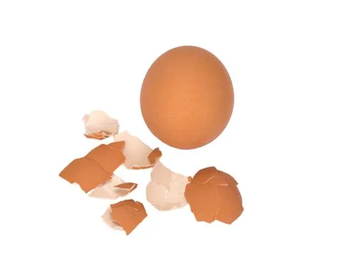 The egg and eggshell isolated on white background Stock Photos