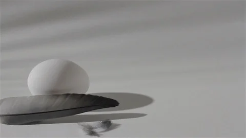 Egg and feather of a dove_4 Video stock 118450450