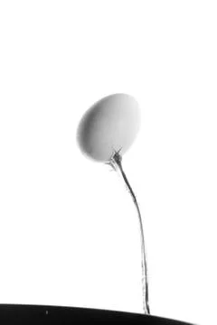 Egg and fork . Foto stock