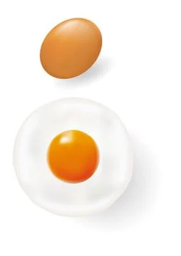 Egg and Fried egg  isolated on white background EPS8 스톡 일러스트