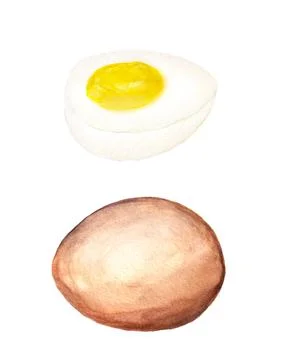 Egg and half of egg Stock Illustration