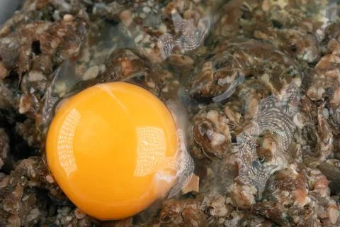 Egg and minced meat for making catlet Stock Photos