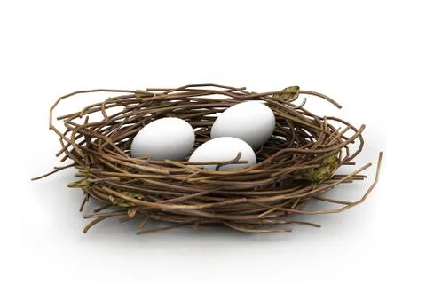 Egg and nest Stock Illustration