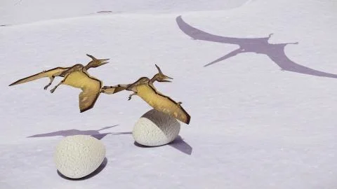 Egg and pterodactyl 3d rendering Stock Illustration