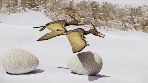 Egg and pterodactyl 3d rendering Stock-Illustration