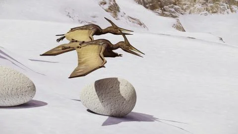 Egg and pterodactyl 3d rendering Stock Illustration