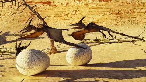 Egg and pterodactyl 3d rendering Stock Illustration