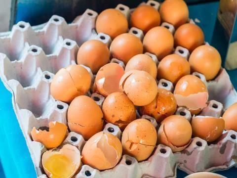 Egg and shell in egg panel Stock Photos