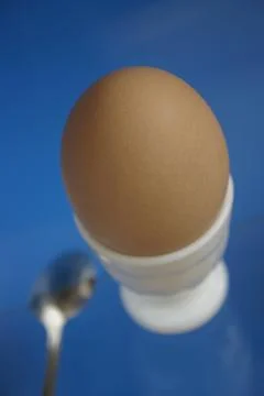 Egg and spoon Stock Photos