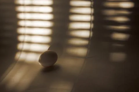 Egg and strip of shadow Stock Photos