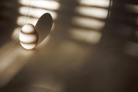 Egg and strip of shadow Foto stock