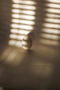 Egg and strip of shadow Stock Photos