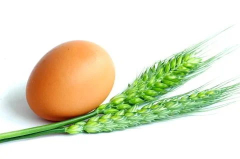 Egg and wheat Stock Photos