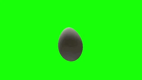 Egg animation on green screen Vidéo 330660972