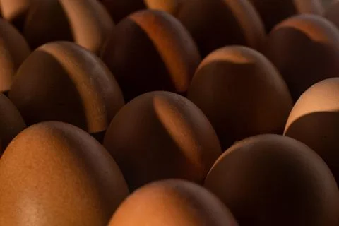 Egg background. Brown eggs in a tray. Protein food. Eco organic. Minimalism Stock Photos