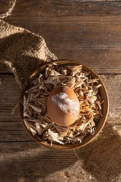Egg background. Brown eggs in a tray. Protein food. Eco organic. Minimalism Stock Photos
