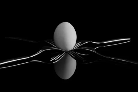 An egg balancing between four forks. Reflection on a black background. Stock Photos