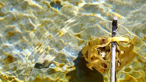 Egg in the basket are boiled in hot springs at sankamphaeng  hot springs chia Stock Footage 81311684