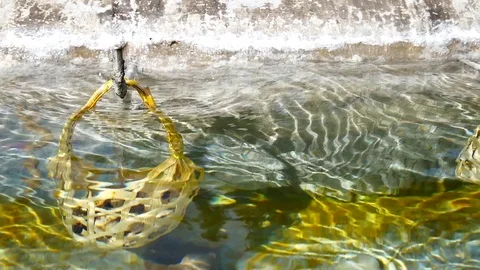 Egg in the basket are boiled in hot springs at sankamphaeng  hot springs chia Stock Footage 81311690