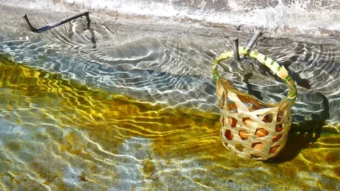 Egg in the basket are boiled in hot springs at sankamphaeng  hot springs chia Stock Footage 81311749