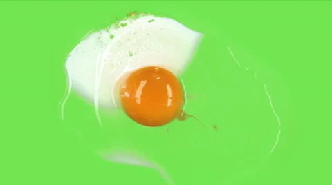 Egg being fried on green screen Video stock 35627903