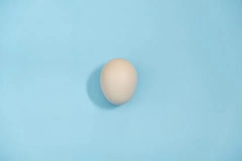 Egg is beneficial to the body Foto stock