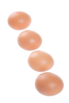 Egg, Bird Stock Photos