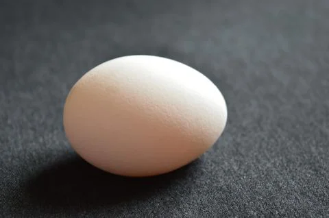 Egg on a black background Stock Photos