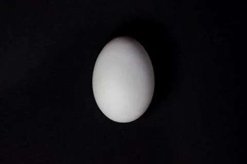 Egg on a black background Stock Photos