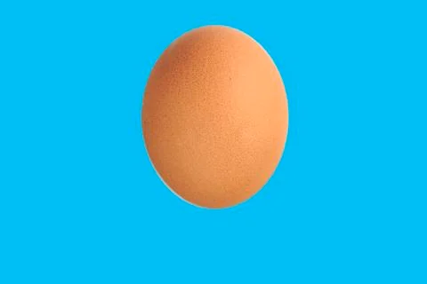 Egg with blue background Foto stock