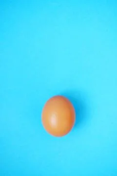 Egg on blue background Stock Photos