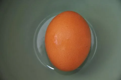 Egg on bowl Stock Photos