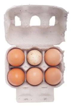Egg box, differ one Stock Photos