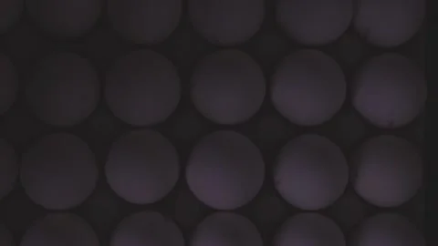 Egg Box With Eggs On Table Panning Slider Shot 動画素材 146231643