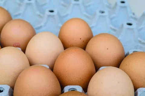 Egg box Stock Photos