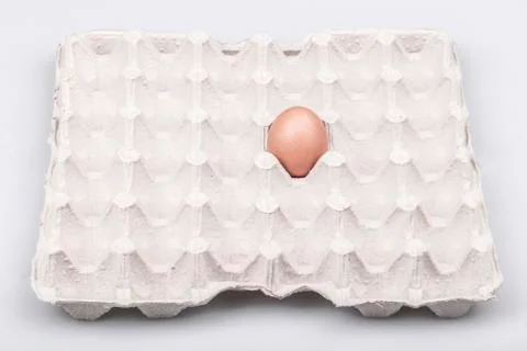 Egg in box Stock Photos