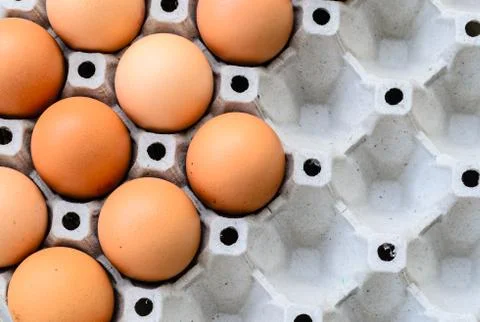 Egg box set Stock Photos