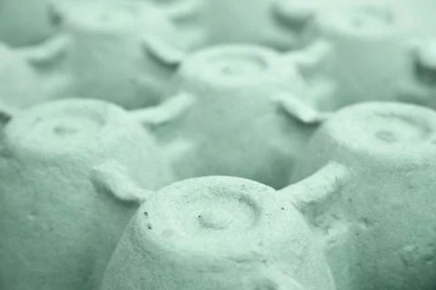 Egg box texture close Stock Photos