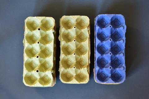 Egg boxes shoot in studio garbage concept Stock Photos