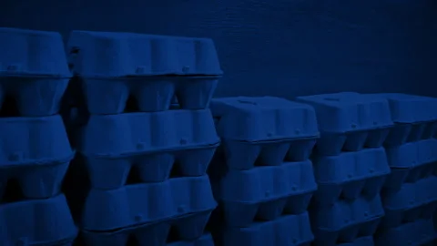 Egg Boxes Stacked Up In Dark Room Stock Footage 341448649