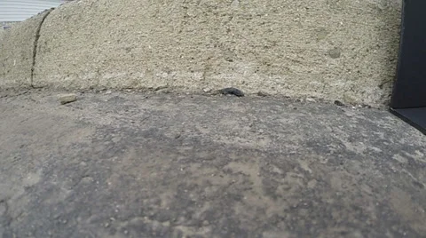 Egg Break on asphalt Stock Footage 35838493