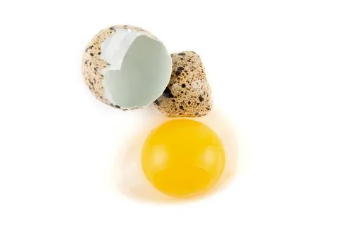 Egg broken egg quail isolated on white background Copyright: xZoonar.com/R... 写真素材