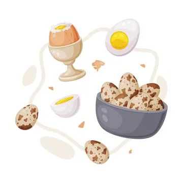 Egg with Brown Shell, White and Yellow Yolk Vector Composition イラスト素材