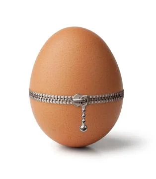 Egg, buttoned with a zipper Stock Photos